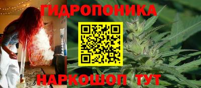 СК Бердск
