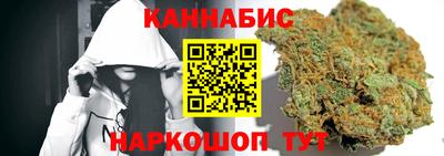 СК Бердск