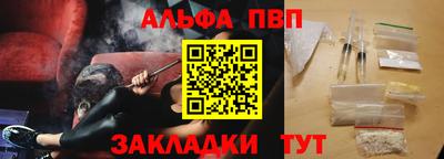 СК Бердск