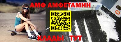 СК Бердск