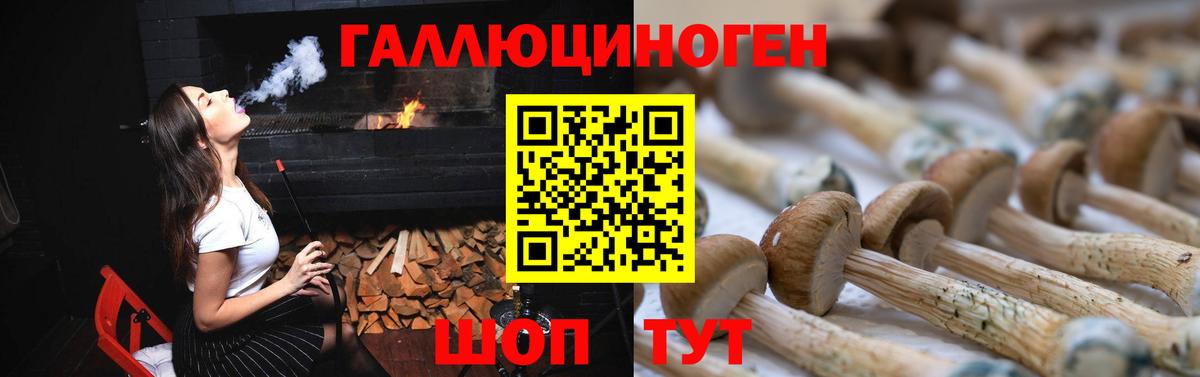 Галлюциногенные грибы Psilocybe Белебей